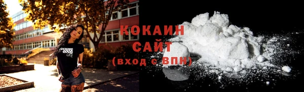 ECSTASY Ельня