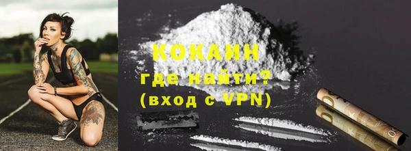 ECSTASY Ельня
