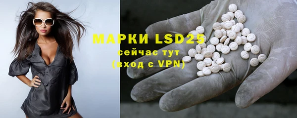 PSILOCYBIN Заволжье