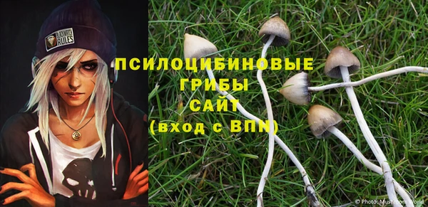 молекула духа Заводоуковск