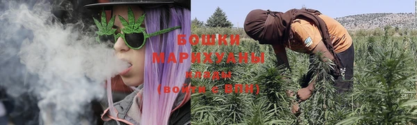 молекула духа Елизово