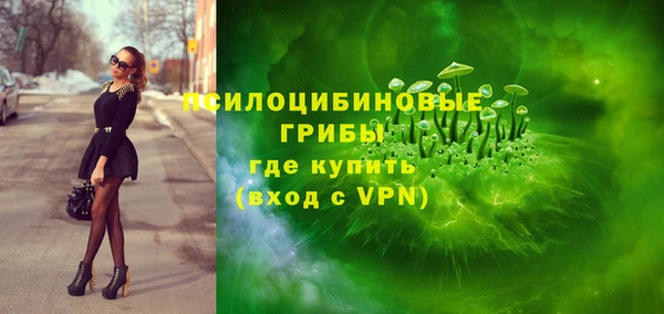 PSILOCYBIN Заволжье