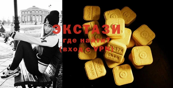 ECSTASY Ельня