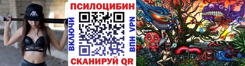 Псилоцибиновые грибы Psilocybe  Пыть-Ях 