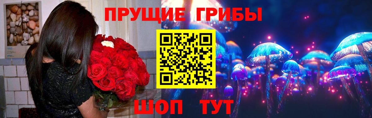 Галлюциногенные грибы Psilocybine cubensis Пыть-Ях